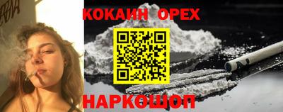 a pvp Будённовск
