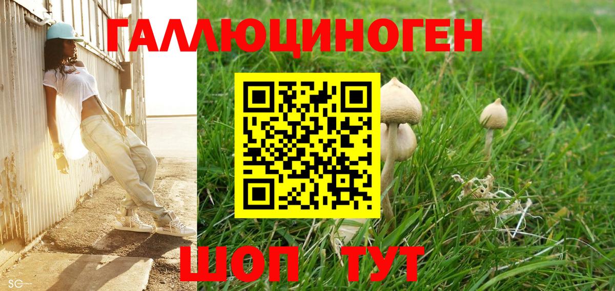 Балтийск  Галлюциногенные грибы мухоморы  Вход с VPN  Псилоцибиновые грибы прущие грибы 